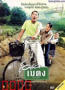 滚入红尘：赌场迷途