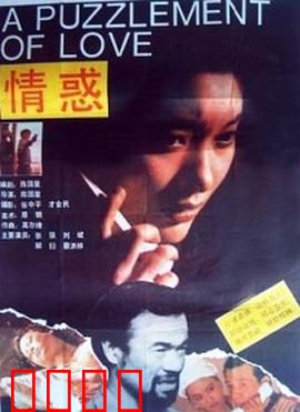情惑：婚姻迷雾