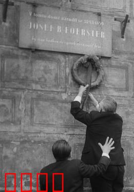 我们的费尔斯特先生去世了：小镇的秘密