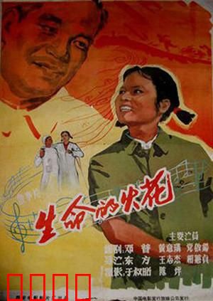 生命的火花：一场灵魂觉醒