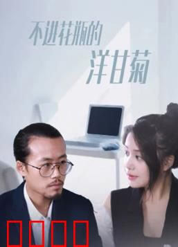 不进花瓶的洋甘菊：孤芳自赏