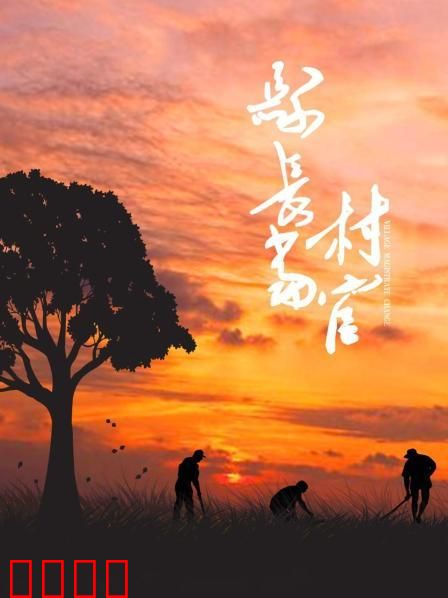 县长当村官：一纸调令下的担当