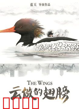 云做的翅膀：梦与飞翔