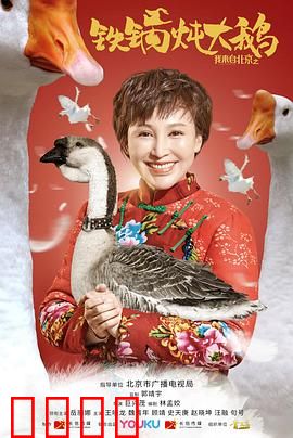 我来自北京之铁锅炖大鹅：北漂回乡创业记