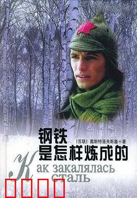 钢铁是怎样炼成的：革命者的锤炼
