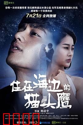 住在海边的猫头鹰：孤独与救赎