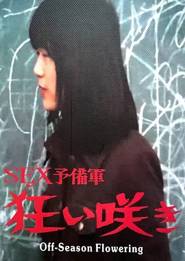 淡季花开：逆光之恋