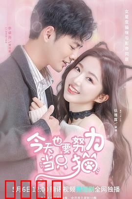 今天也要努力当只猫：猫咪重生逆袭