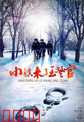 小镇来了王警官：智破迷案