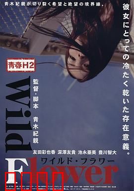 青春H2之狂野之花：叛逆少女的成长