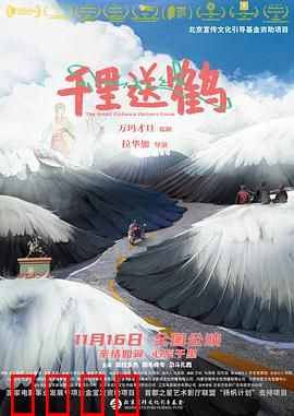 千里送鹤：高原童心与鹤共舞