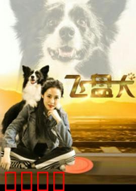 飞盘犬：逆袭之路