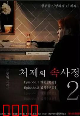 嫂嫂情事2：情迷夜归人