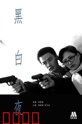 黑白夜：真相的代价
