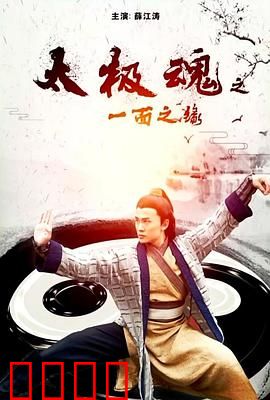 太极魂之一面之缘：高手过招