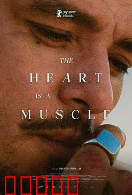 心如肌理：心灵迷宫