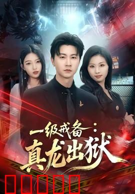 一级戒备：特工绝地反击
